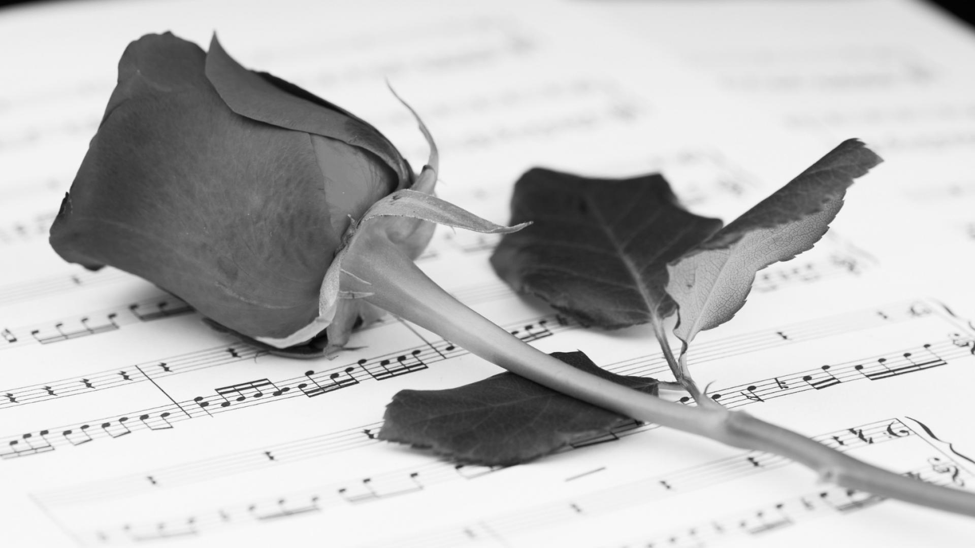 Rose und Notenblatt